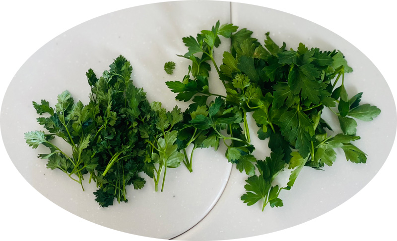 Remove hard stems from Chervil and Parsley. Then finally chop the herbs.